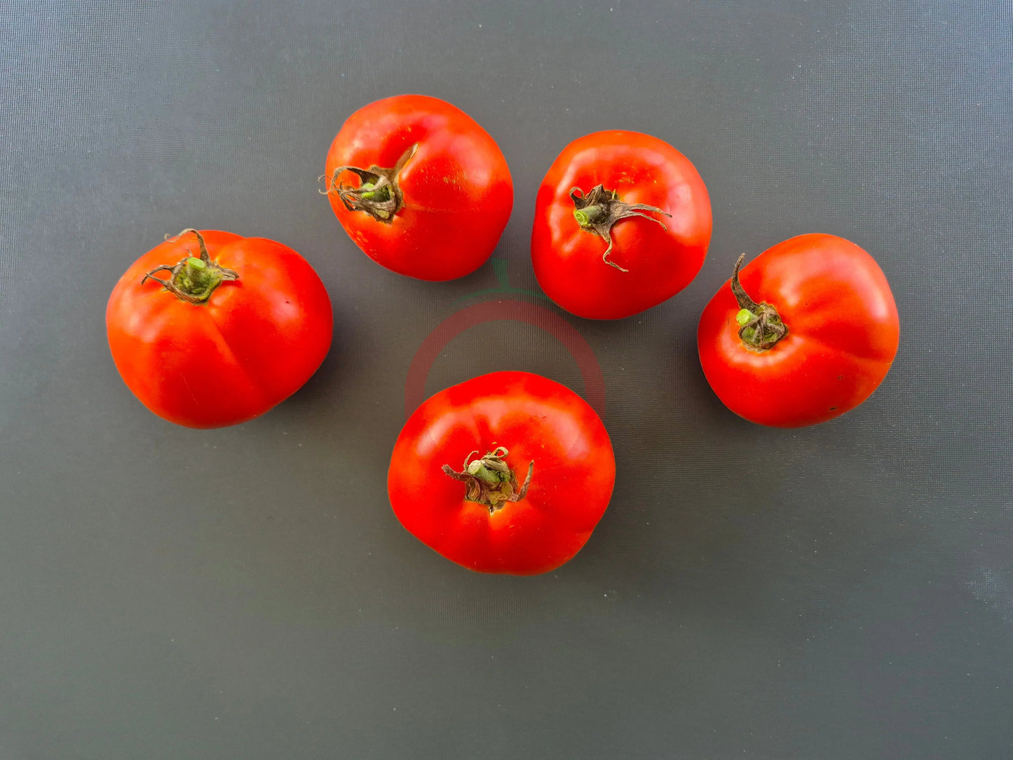 Abraham Lincoln DER TOMATENFLÜSTERER