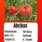 Abrikos DER TOMATENFLÜSTERER