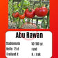 Abu Rawan DER TOMATENFLÜSTERER