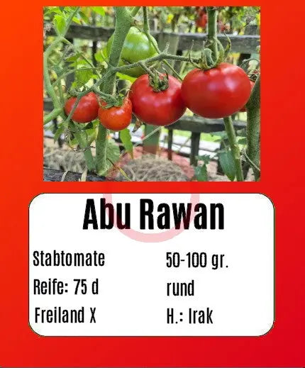 Abu Rawan DER TOMATENFLÜSTERER