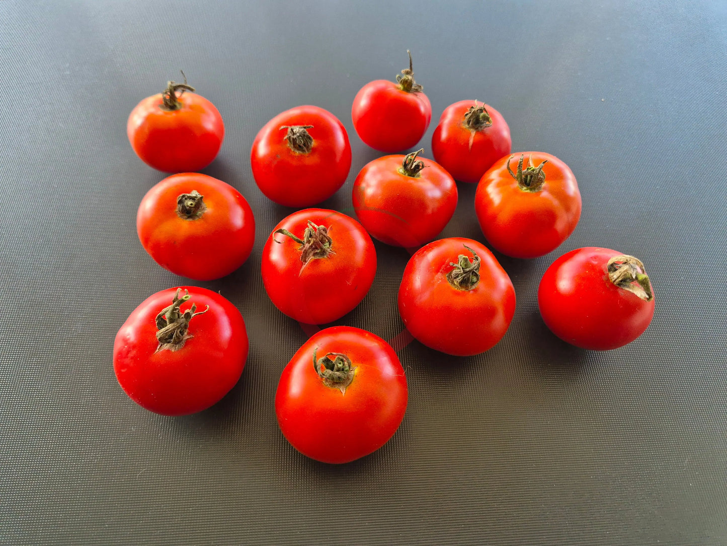 Abu Rawan DER TOMATENFLÜSTERER