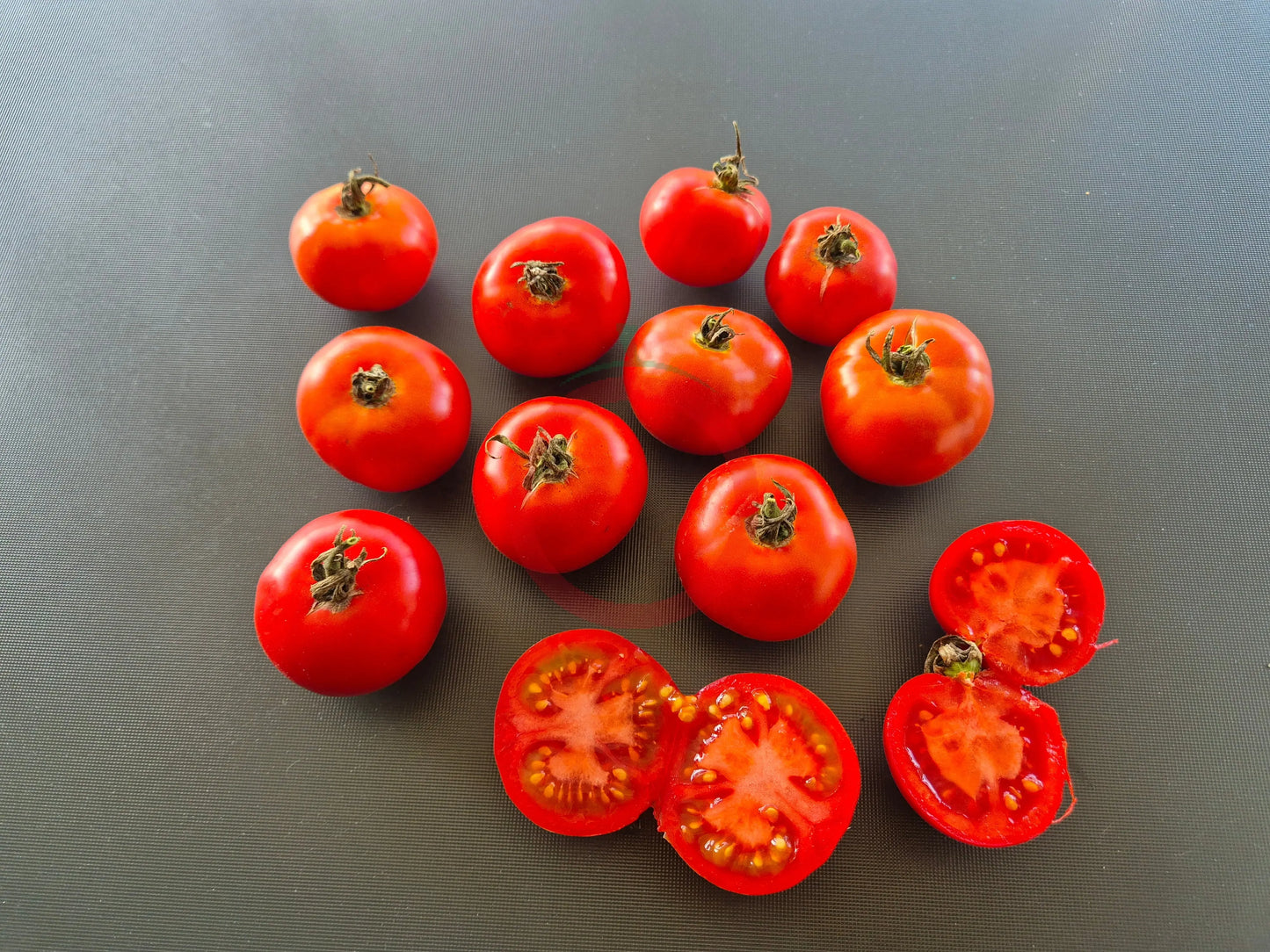 Abu Rawan DER TOMATENFLÜSTERER