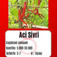 Aci Sivri DER TOMATENFLÜSTERER