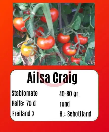 Ailsa Craig DER TOMATENFLÜSTERER