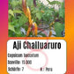 Aji Challuaruro Amarillo DER TOMATENFLÜSTERER