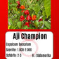 Aji Champion DER TOMATENFLÜSTERER