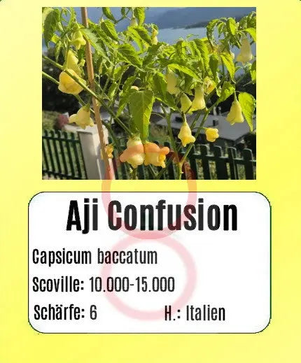 Aji Confusion DER TOMATENFLÜSTERER