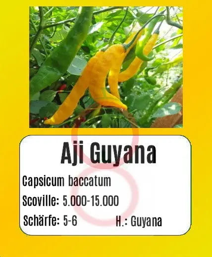 Aji Guyana DER TOMATENFLÜSTERER