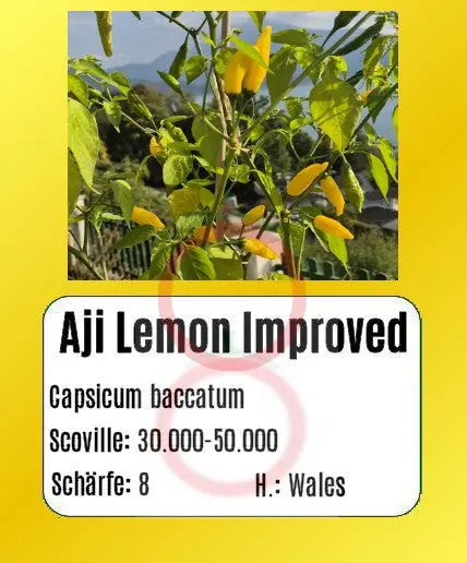 Aji Lemon Improved DER TOMATENFLÜSTERER