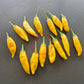 Aji Lemon Improved DER TOMATENFLÜSTERER