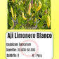 Aji Limonero Blanco DER TOMATENFLÜSTERER