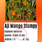 Aji Mango Stumpy DER TOMATENFLÜSTERER