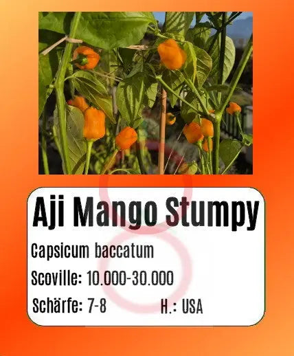 Aji Mango Stumpy DER TOMATENFLÜSTERER