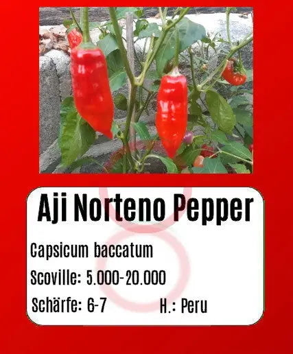 Aji Norteno Pepper DER TOMATENFLÜSTERER