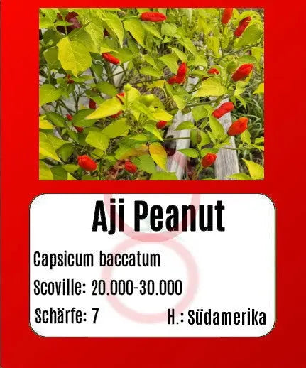 Aji Peanut DER TOMATENFLÜSTERER