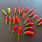 Aji Peanut DER TOMATENFLÜSTERER