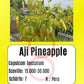 Aji Pineapple DER TOMATENFLÜSTERER