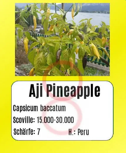 Aji Pineapple DER TOMATENFLÜSTERER