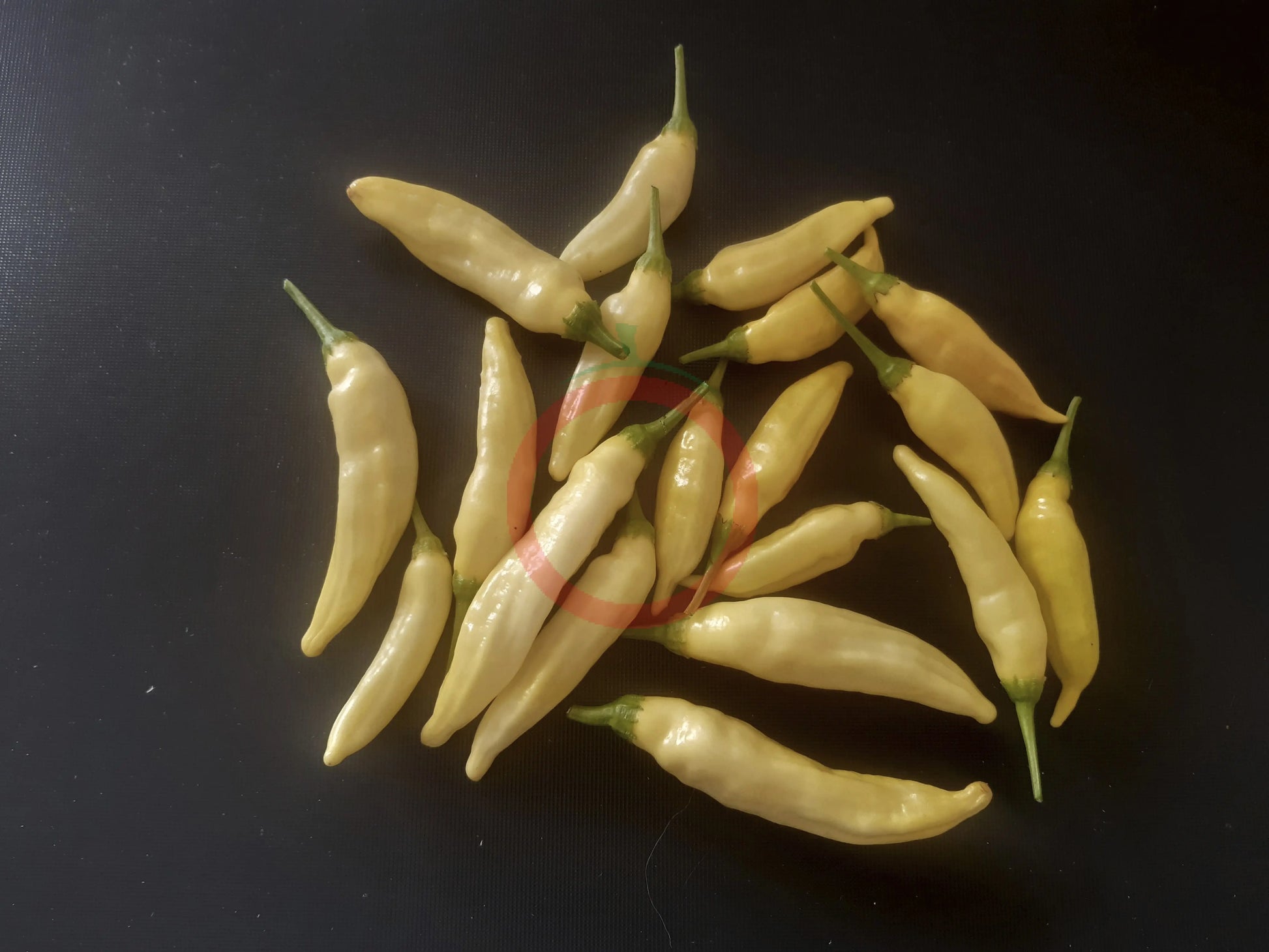 Aji Pineapple DER TOMATENFLÜSTERER