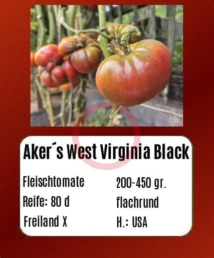 Aker’s West Virginia Black DER TOMATENFLÜSTERER