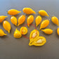 Akmore Treasure DER TOMATENFLÜSTERER