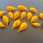 Akmore Treasure DER TOMATENFLÜSTERER