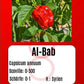 Al-Bab DER TOMATENFLÜSTERER