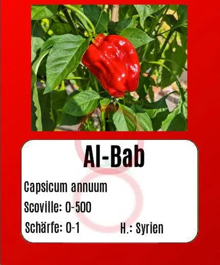 Al-Bab DER TOMATENFLÜSTERER