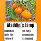 Aladdin´s Lamp DER TOMATENFLÜSTERER