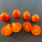 Aladdin´s Lamp DER TOMATENFLÜSTERER