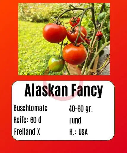 Alaskan Fancy DER TOMATENFLÜSTERER