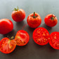 Alaskan Fancy DER TOMATENFLÜSTERER