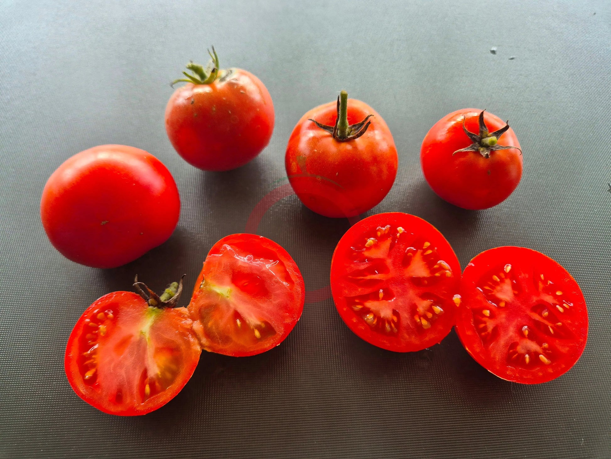 Alaskan Fancy DER TOMATENFLÜSTERER