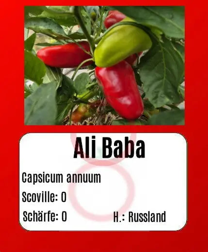 Ali Baba DER TOMATENFLÜSTERER