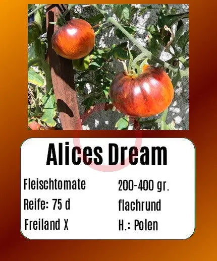 Alices Dreams DER TOMATENFLÜSTERER
