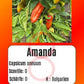Amanda DER TOMATENFLÜSTERER