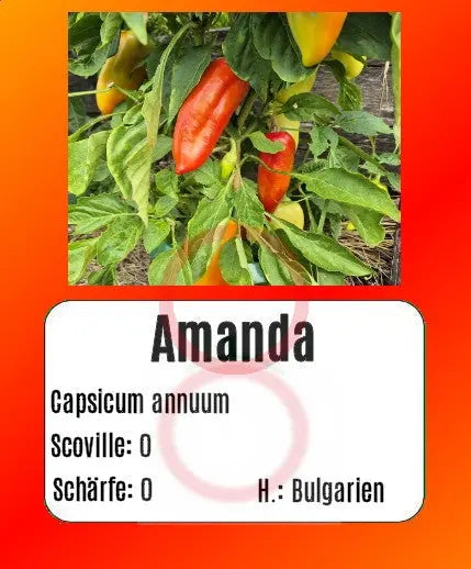 Amanda DER TOMATENFLÜSTERER