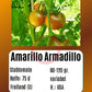 Amarillo Armadillo DER TOMATENFLÜSTERER