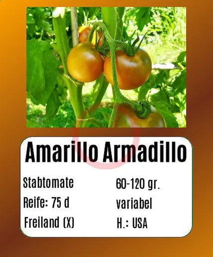 Amarillo Armadillo DER TOMATENFLÜSTERER