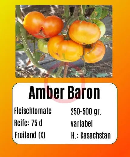 Amber Baron DER TOMATENFLÜSTERER