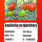 Améliorée de Montlhéry DER TOMATENFLÜSTERER