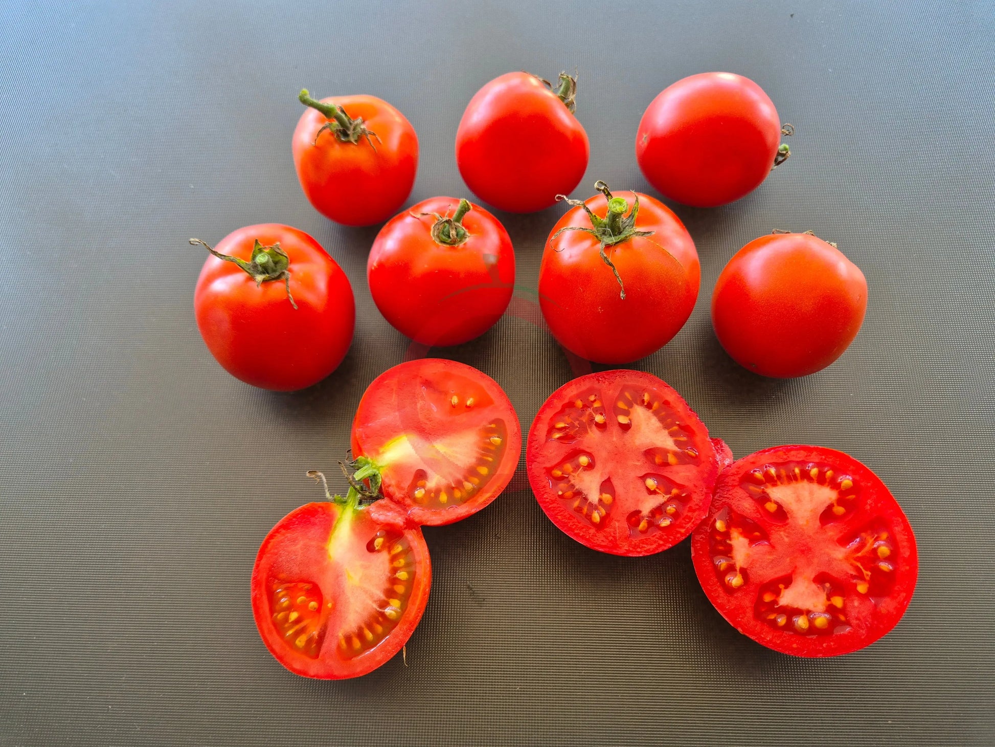 Améliorée de Montlhéry DER TOMATENFLÜSTERER