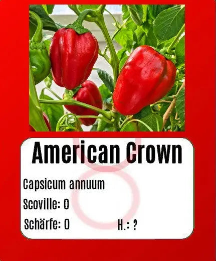 American Crown DER TOMATENFLÜSTERER