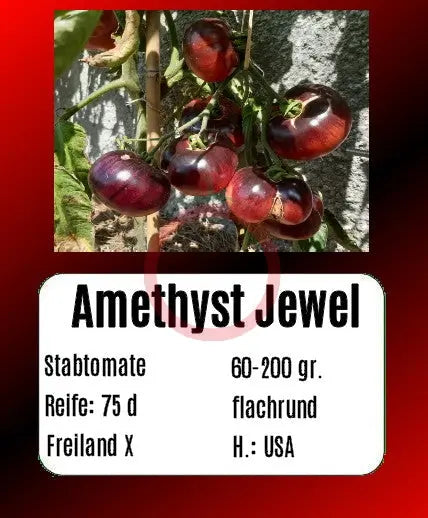 Amethyst Jewel DER TOMATENFLÜSTERER