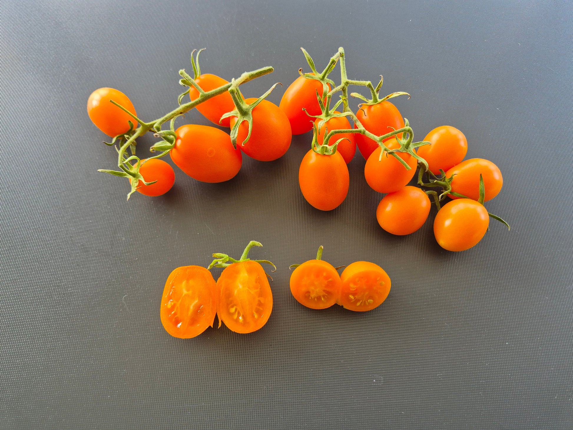 Amish Cherry DER TOMATENFLÜSTERER
