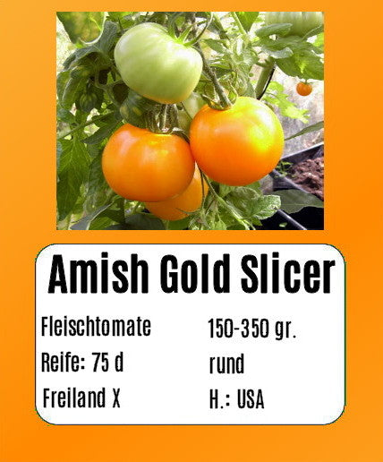 Amish Gold Slicer DER TOMATENFLÜSTERER