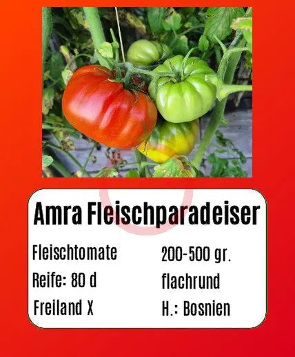 Amra Fleischparadeiser DER TOMATENFLÜSTERER
