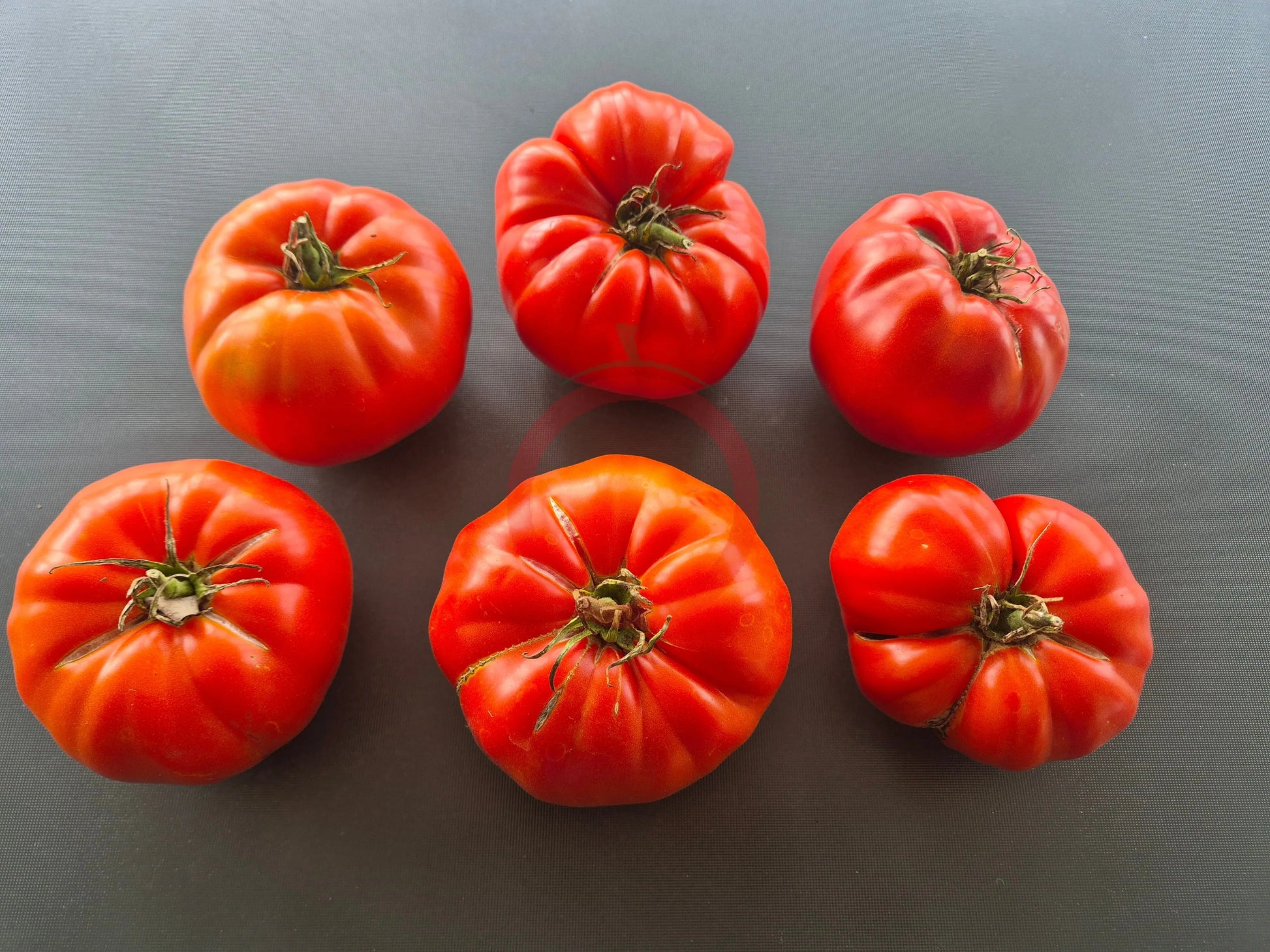 Amra Fleischparadeiser DER TOMATENFLÜSTERER