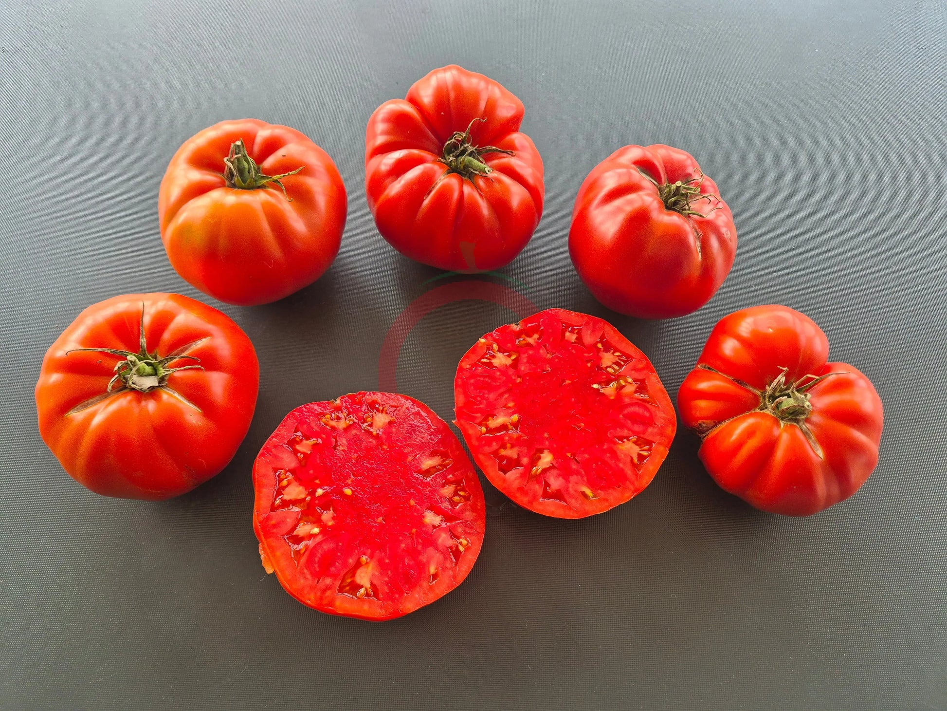 Amra Fleischparadeiser DER TOMATENFLÜSTERER