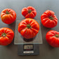 Amra Fleischparadeiser DER TOMATENFLÜSTERER